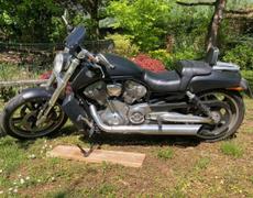 Harley Davidson V Rod La Terrasse