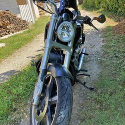 Harley Davidson V Rod  La Terrasse