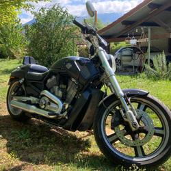 Harley Davidson V Rod  La Terrasse