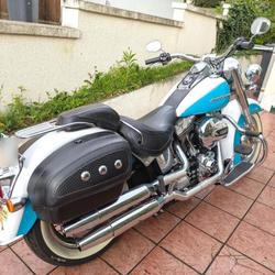 Harley Davidson Softail  Beaumont
