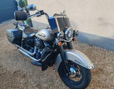 Harley Davidson Softail Mayet