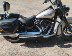 Harley Davidson Softail Mayet