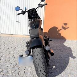 Indian Chieftain  D&eacute;cines-Charpieu