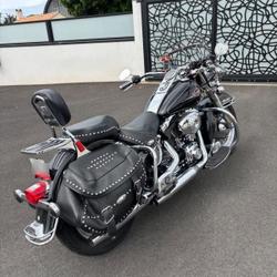 Harley Davidson Softail  Angles