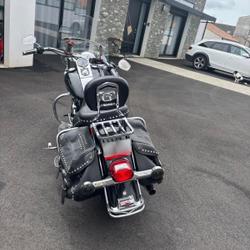 Harley Davidson Softail  Angles