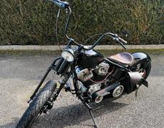 Harley Davidson XR Cognin