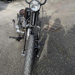 Harley Davidson XR  Cognin