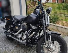 Harley Davidson autres Azur