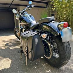 Harley Davidson autres  Saint-Didier-au-Mont-d'Or