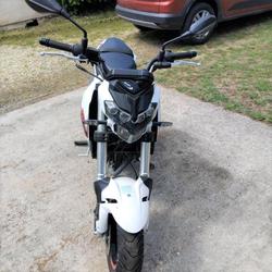 Benelli Tornado  Asques