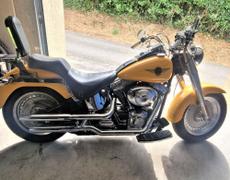 Harley Davidson Fat Boy Belmont