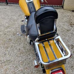 Harley Davidson Fat Boy  Belmont