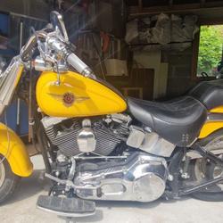 Harley Davidson Fat Boy  Belmont