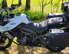 Triumph Tiger Allogny