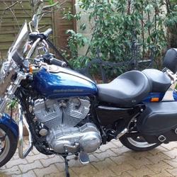 Harley Davidson Sportster occasion - Ploemeur - photo 3/5