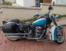 Harley Davidson Softail Beaumont