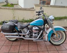 Harley Davidson Softail Beaumont