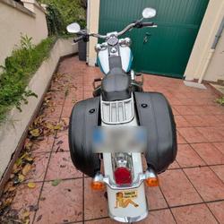 Harley Davidson Softail  Beaumont
