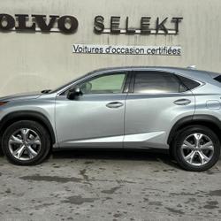 Lexus NX NX 300h 4WD Executive E-CVT Chantilly