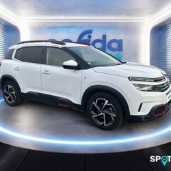 Citroen C5 Aircross BlueHDi 130ch S&S Business E6.d Loos-en-Gohelle
