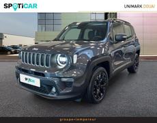 Jeep Renegade Dechy