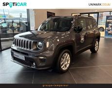Jeep Renegade Dechy