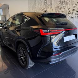 Lexus NX 350h Pack Business 2WD Cesson-S&eacute;vign&eacute;