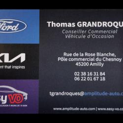 Ford Ranger 2.0 TDCi 213ch Double Cabine Wildtrak BVA10 Amilly