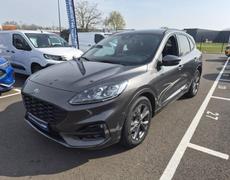 Ford Kuga - 2.5 Duratec 190ch FHEV E85 ST-Line X BVA - 21 999 €