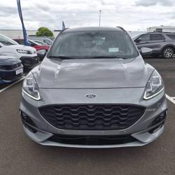 Ford Kuga 2l EcoBlue 120ch ST-Line BVA Sens