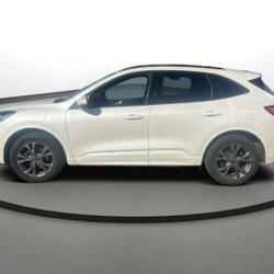 Ford Kuga 2.5 Duratec 225ch PHEV ST-Line Business BVA Boulogne-sur-Mer