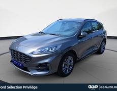 Ford Kuga Dunkerque