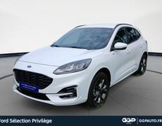 Ford Kuga Dunkerque