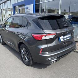 Ford Kuga 1.5 EcoBlue 120ch ST-Line Powershift Saint-Jouan-des-Gu&eacute;rets