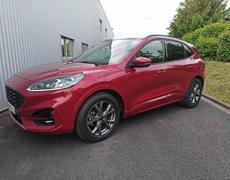 Ford Kuga Olivet