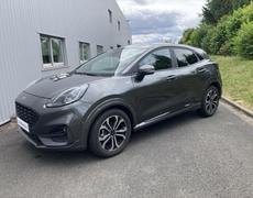 Ford Puma Olivet
