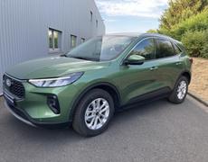 Ford Kuga Olivet