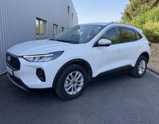 Ford Kuga Olivet