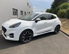 Ford Puma Olivet