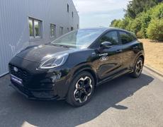 Ford Puma Olivet