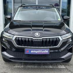 Skoda Karoq 2.0 TDI 116ch SCR Business DSG7 Gien