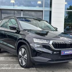 Skoda Karoq 2.0 TDI 116ch SCR Business DSG7 Gien