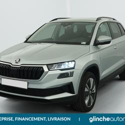 Skoda Karoq 2.0 TDI 116 ch SCR DSG7 Business &Eacute;commoy
