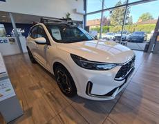 Ford Kuga Oyonnax
