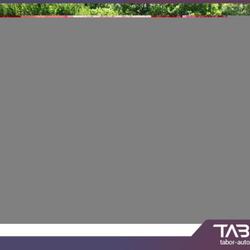 Fiat Panda Cross 5S ODC CarP/AndroidA PrivG 15" Paris 14e Arrondissement