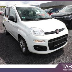Fiat Panda 1.2 8V 70 More Clima radars Strasbourg