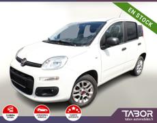 Fiat Panda Strasbourg