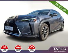 Lexus UX Strasbourg