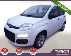 Fiat Panda Strasbourg