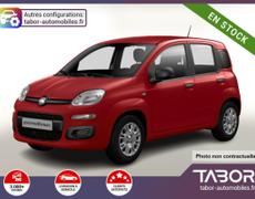 Fiat Panda Strasbourg